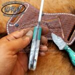 Custom Made J2 Stainless Steel Bull Cutter and Skinner knives set... - Image 3