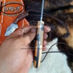 Custom Made Damascus Steel Fixed Blades Deer Hunting and Skinner knives set... - Image 3